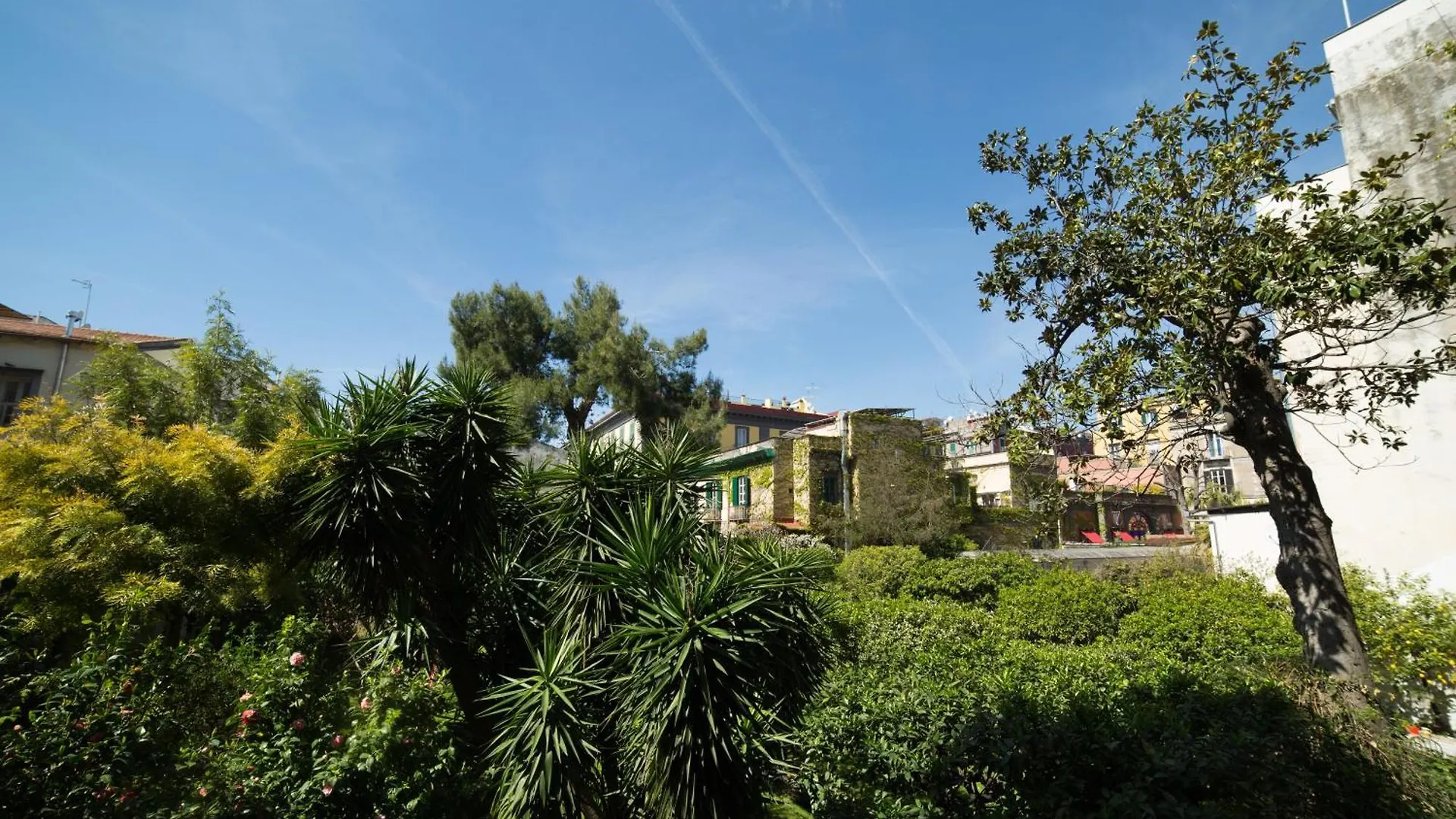 לינה וארוחת בוקר The Bellini House By House In נאפולי איטליה